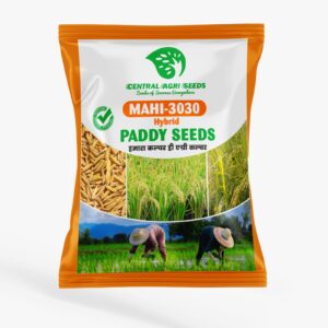 MAHI-3030 Hybrid Paddy Seeds