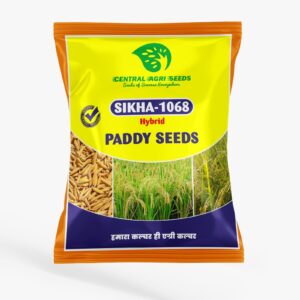 SIKHA-1068 Hybrid Paddy Seeds