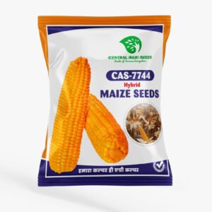 CAS-7744 Hybrid Maize Seeds