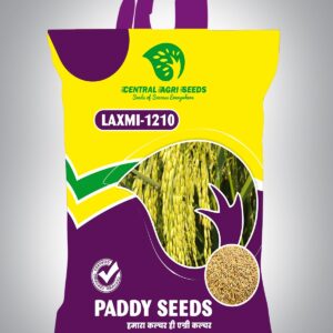 LAXMI-1210 Paddy Seeds