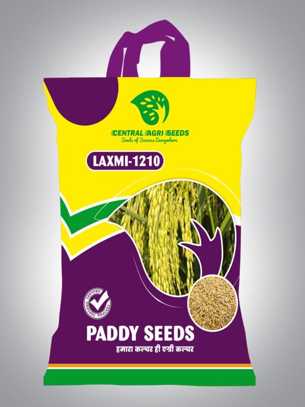 LAXMI-1210 Paddy Seeds